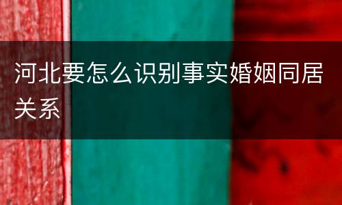 河北要怎么识别事实婚姻同居关系