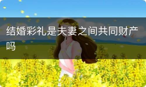 结婚彩礼是夫妻之间共同财产吗
