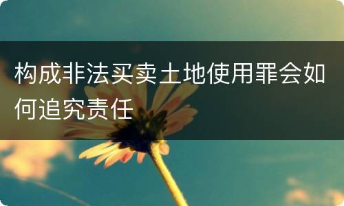 构成非法买卖土地使用罪会如何追究责任