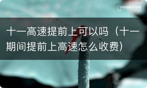 十一高速提前上可以吗（十一期间提前上高速怎么收费）