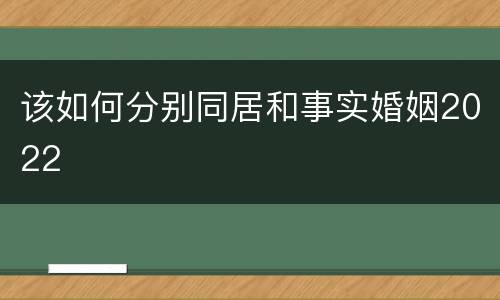 该如何分别同居和事实婚姻2022