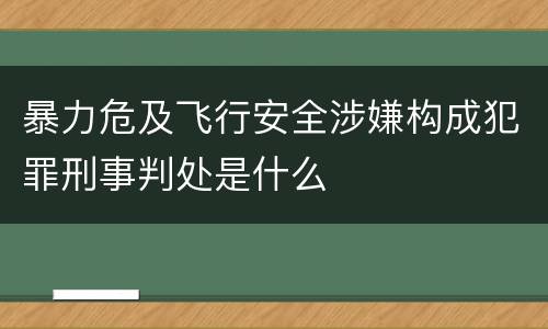 暴力危及飞行安全涉嫌构成犯罪刑事判处是什么