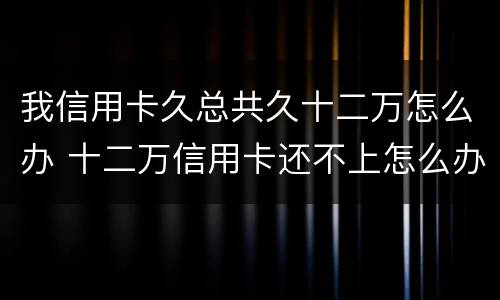 我信用卡久总共久十二万怎么办 十二万信用卡还不上怎么办