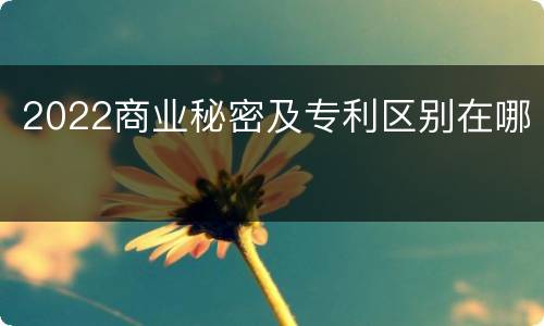 2022商业秘密及专利区别在哪