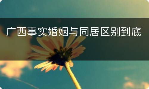 广西事实婚姻与同居区别到底