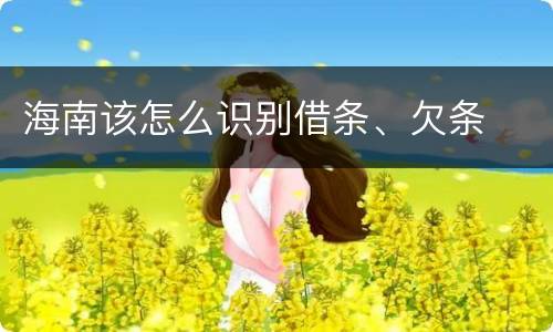 海南该怎么识别借条、欠条