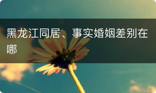 黑龙江同居、事实婚姻差别在哪