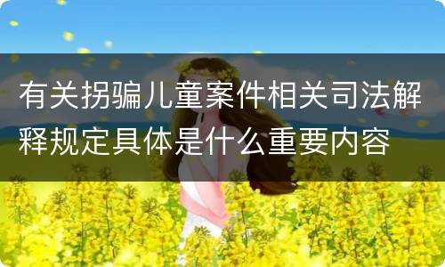 有关拐骗儿童案件相关司法解释规定具体是什么重要内容