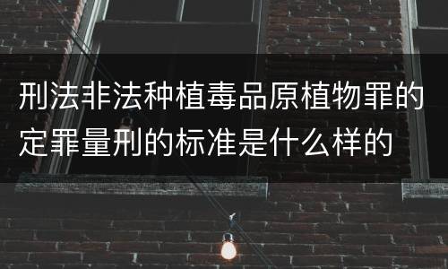 刑法非法种植毒品原植物罪的定罪量刑的标准是什么样的