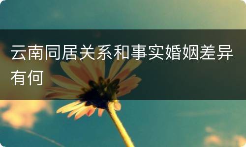 云南同居关系和事实婚姻差异有何