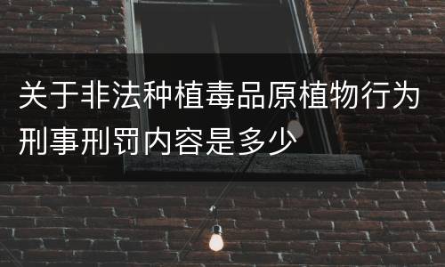 关于非法种植毒品原植物行为刑事刑罚内容是多少