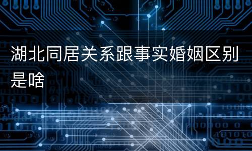 湖北同居关系跟事实婚姻区别是啥
