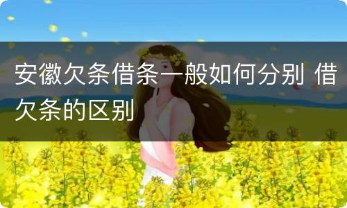 安徽欠条借条一般如何分别 借欠条的区别