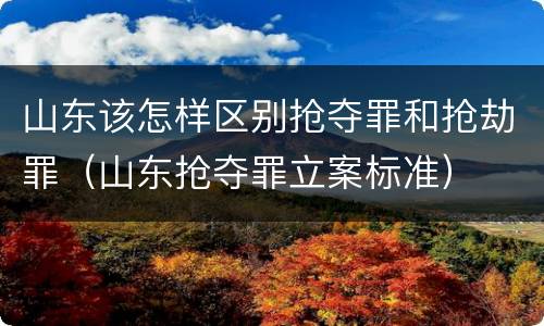 山东该怎样区别抢夺罪和抢劫罪（山东抢夺罪立案标准）