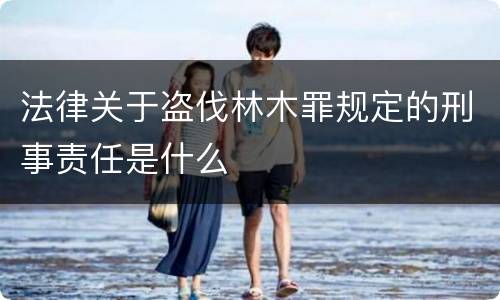 法律关于盗伐林木罪规定的刑事责任是什么