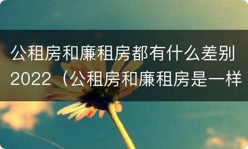 公租房和廉租房都有什么差别2022（公租房和廉租房是一样吗）