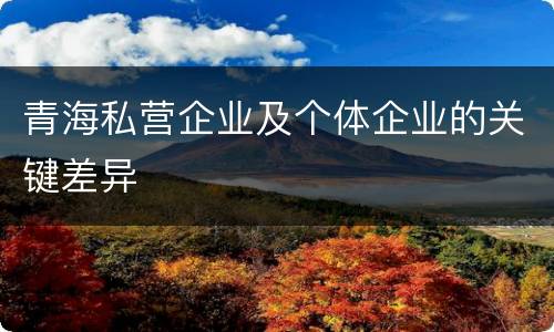 青海私营企业及个体企业的关键差异