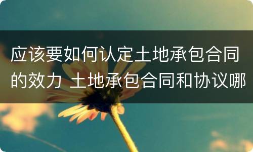 应该要如何认定土地承包合同的效力 土地承包合同和协议哪个有效