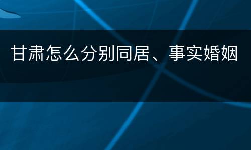 甘肃怎么分别同居、事实婚姻