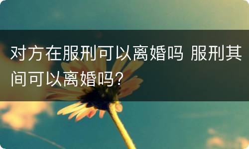 对方在服刑可以离婚吗 服刑其间可以离婚吗?