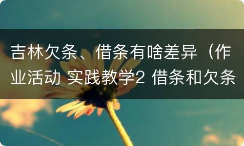 吉林欠条、借条有啥差异（作业活动 实践教学2 借条和欠条的主要区别是什么?）