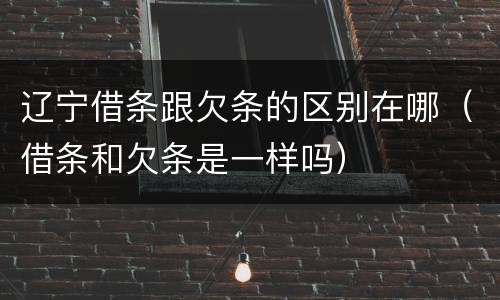 辽宁借条跟欠条的区别在哪（借条和欠条是一样吗）