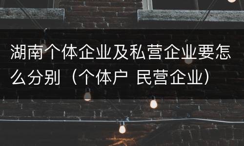 湖南个体企业及私营企业要怎么分别（个体户 民营企业）