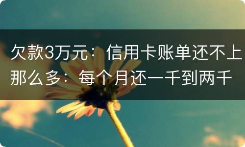欠款3万元：信用卡账单还不上那么多：每个月还一千到两千元：请问还要做坐牢吗