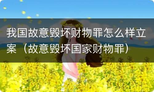 我国故意毁坏财物罪怎么样立案（故意毁坏国家财物罪）