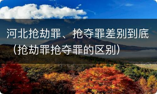 河北抢劫罪、抢夺罪差别到底（抢劫罪抢夺罪的区别）