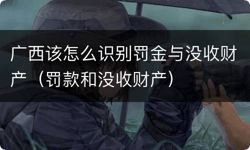 广西该怎么识别罚金与没收财产（罚款和没收财产）