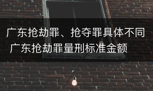 广东抢劫罪、抢夺罪具体不同 广东抢劫罪量刑标准金额