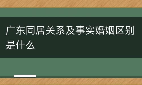 广东同居关系及事实婚姻区别是什么
