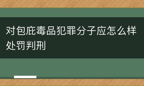 对包庇毒品犯罪分子应怎么样处罚判刑