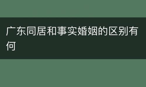 广东同居和事实婚姻的区别有何