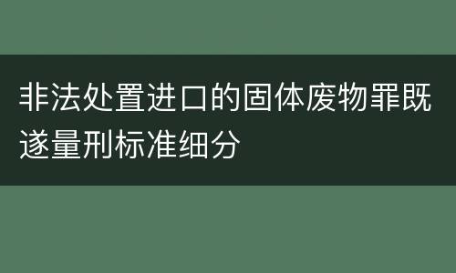 非法处置进口的固体废物罪既遂量刑标准细分