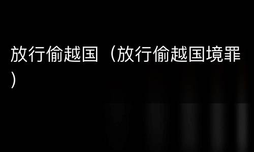 放行偷越国（放行偷越国境罪）