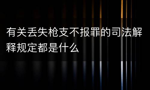 有关丢失枪支不报罪的司法解释规定都是什么