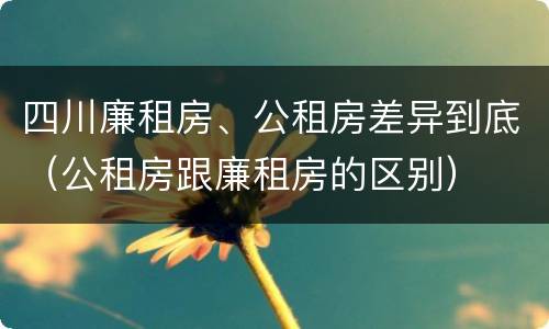 四川廉租房、公租房差异到底（公租房跟廉租房的区别）