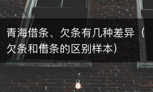 青海借条、欠条有几种差异（欠条和借条的区别样本）