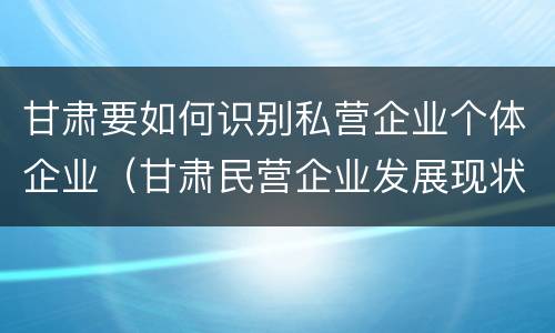 甘肃要如何识别私营企业个体企业（甘肃民营企业发展现状）