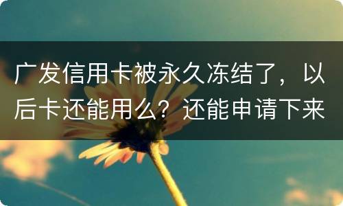 广发信用卡被永久冻结了，以后卡还能用么？还能申请下来别的银行的信用卡么