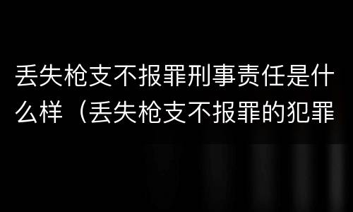 丢失枪支不报罪刑事责任是什么样（丢失枪支不报罪的犯罪主体只能是什么）