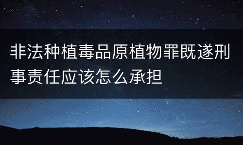 非法种植毒品原植物罪既遂刑事责任应该怎么承担