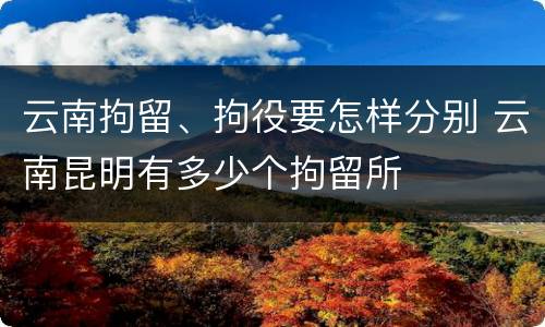 云南拘留、拘役要怎样分别 云南昆明有多少个拘留所