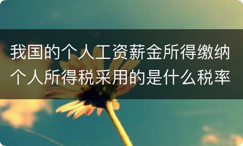 我国的个人工资薪金所得缴纳个人所得税采用的是什么税率