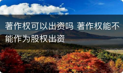著作权可以出资吗 著作权能不能作为股权出资