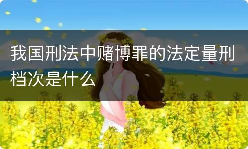 我国刑法中赌博罪的法定量刑档次是什么