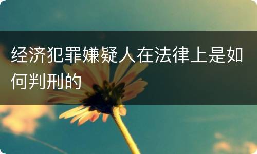 经济犯罪嫌疑人在法律上是如何判刑的