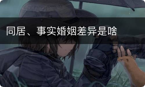 同居、事实婚姻差异是啥